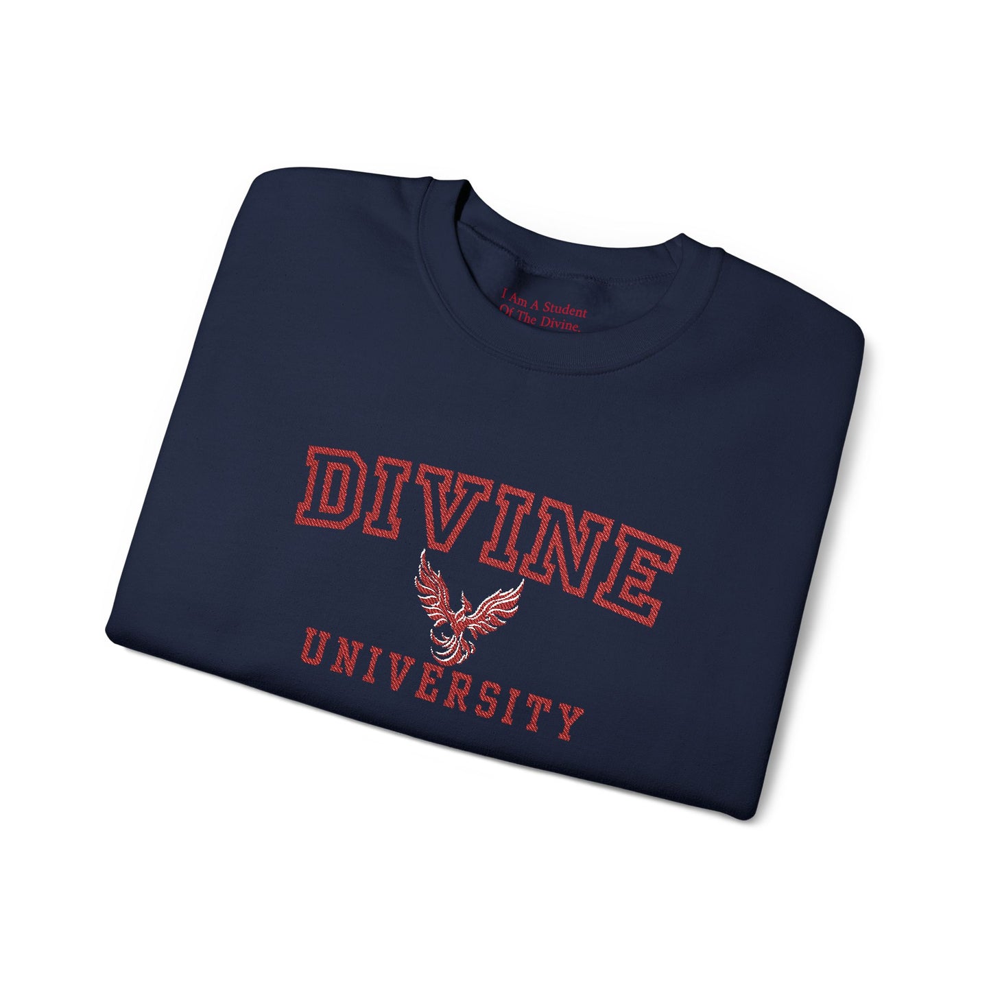 Divine University - Phoenix Rising Embroidery Crewneck Sweatshirt