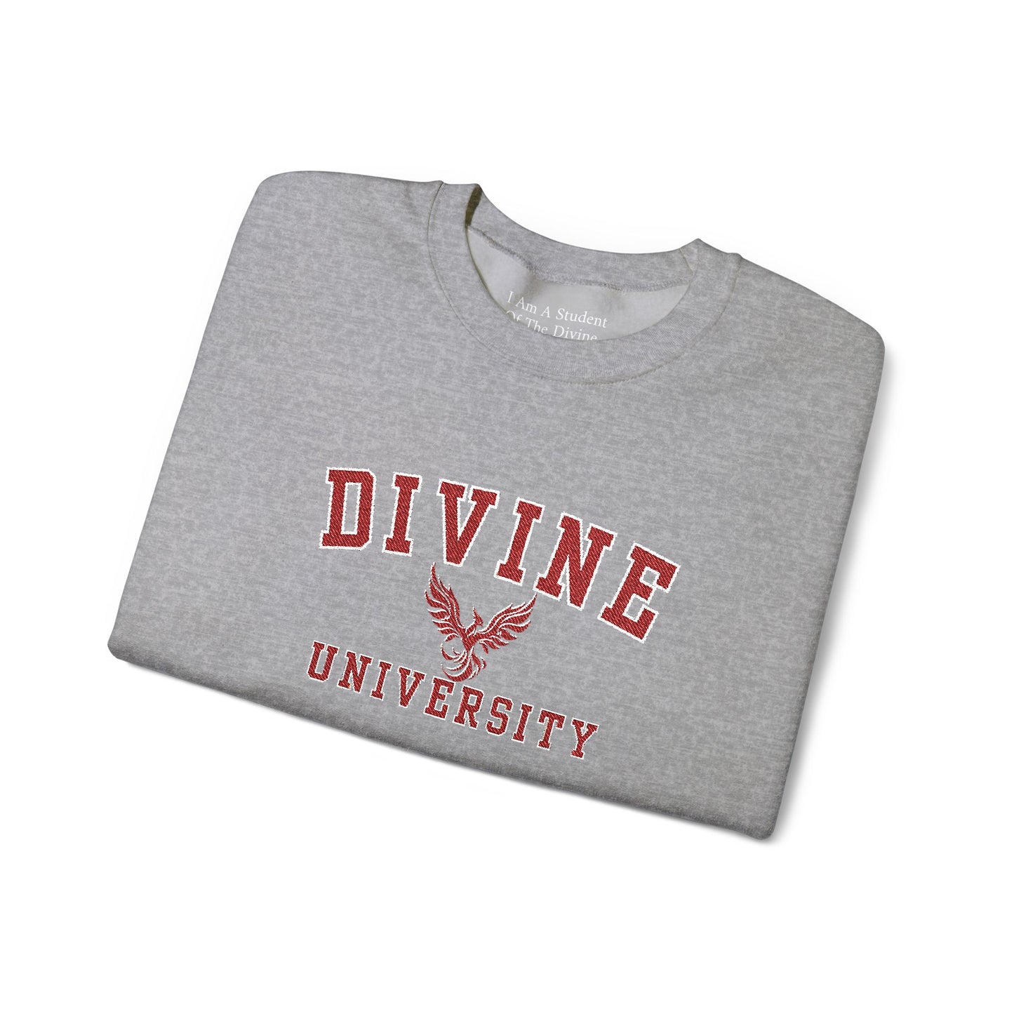 DIVINE UNIVERSITY Solid Print- Crewneck Sweatshirt