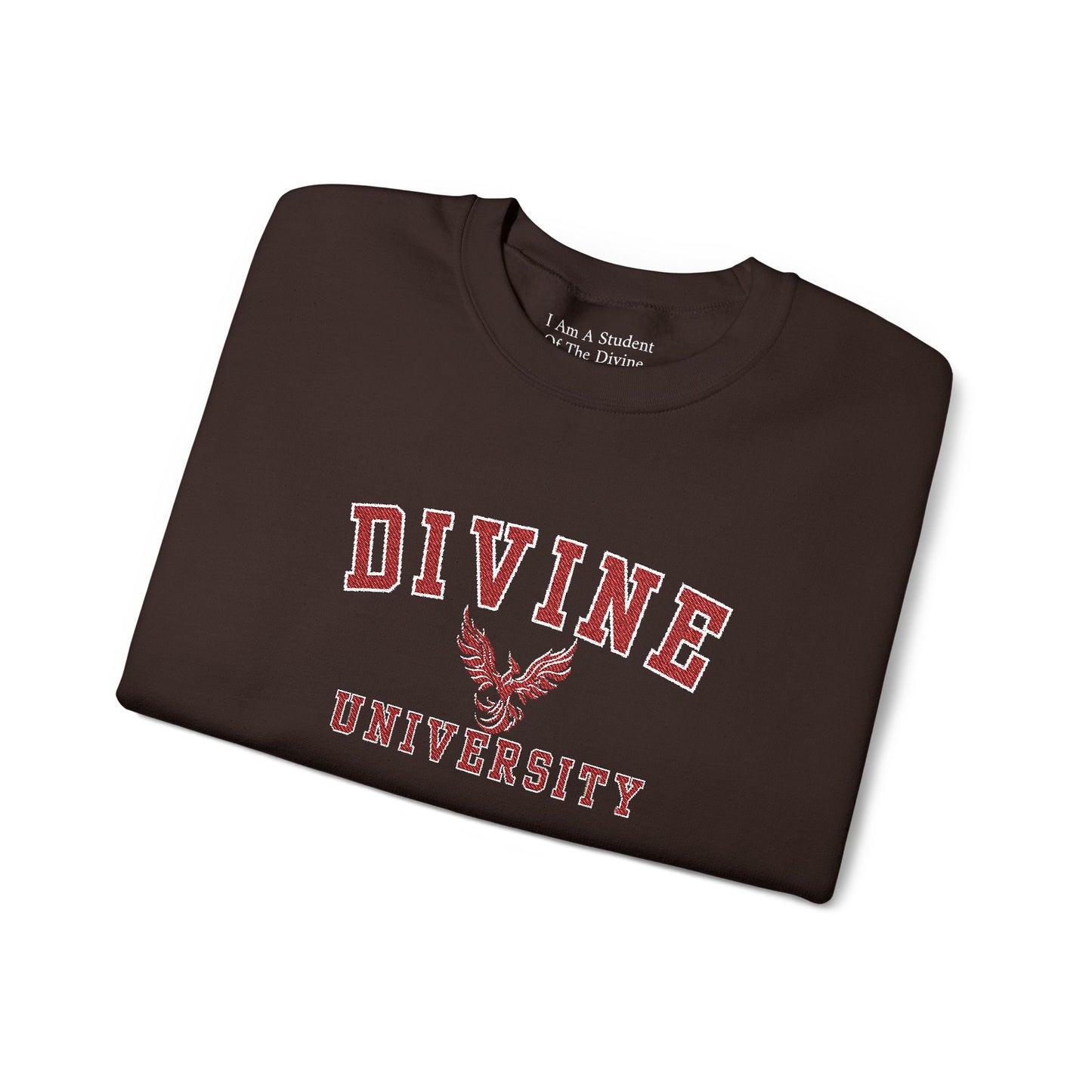 DIVINE UNIVERSITY Solid Print- Crewneck Sweatshirt