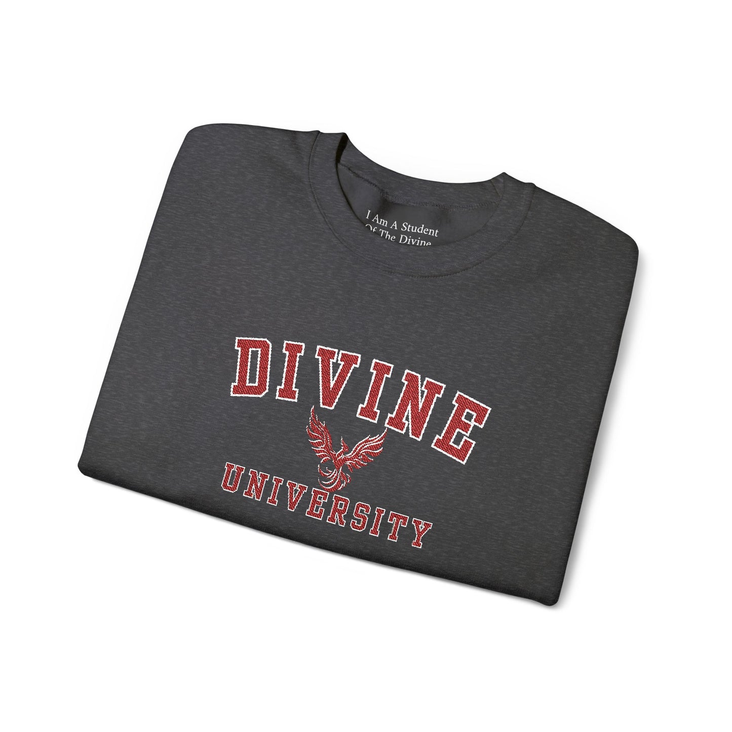 DIVINE UNIVERSITY Solid Print- Crewneck Sweatshirt