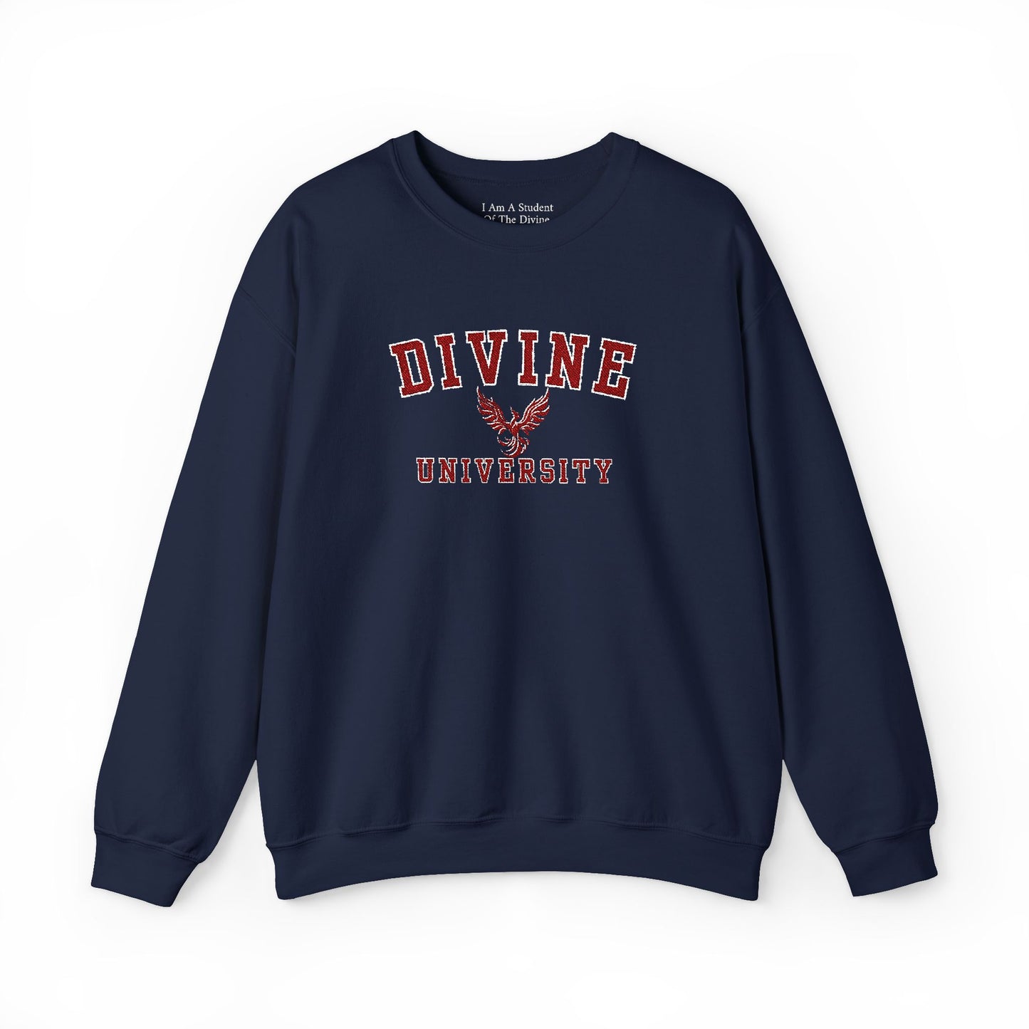 DIVINE UNIVERSITY Solid Print- Crewneck Sweatshirt