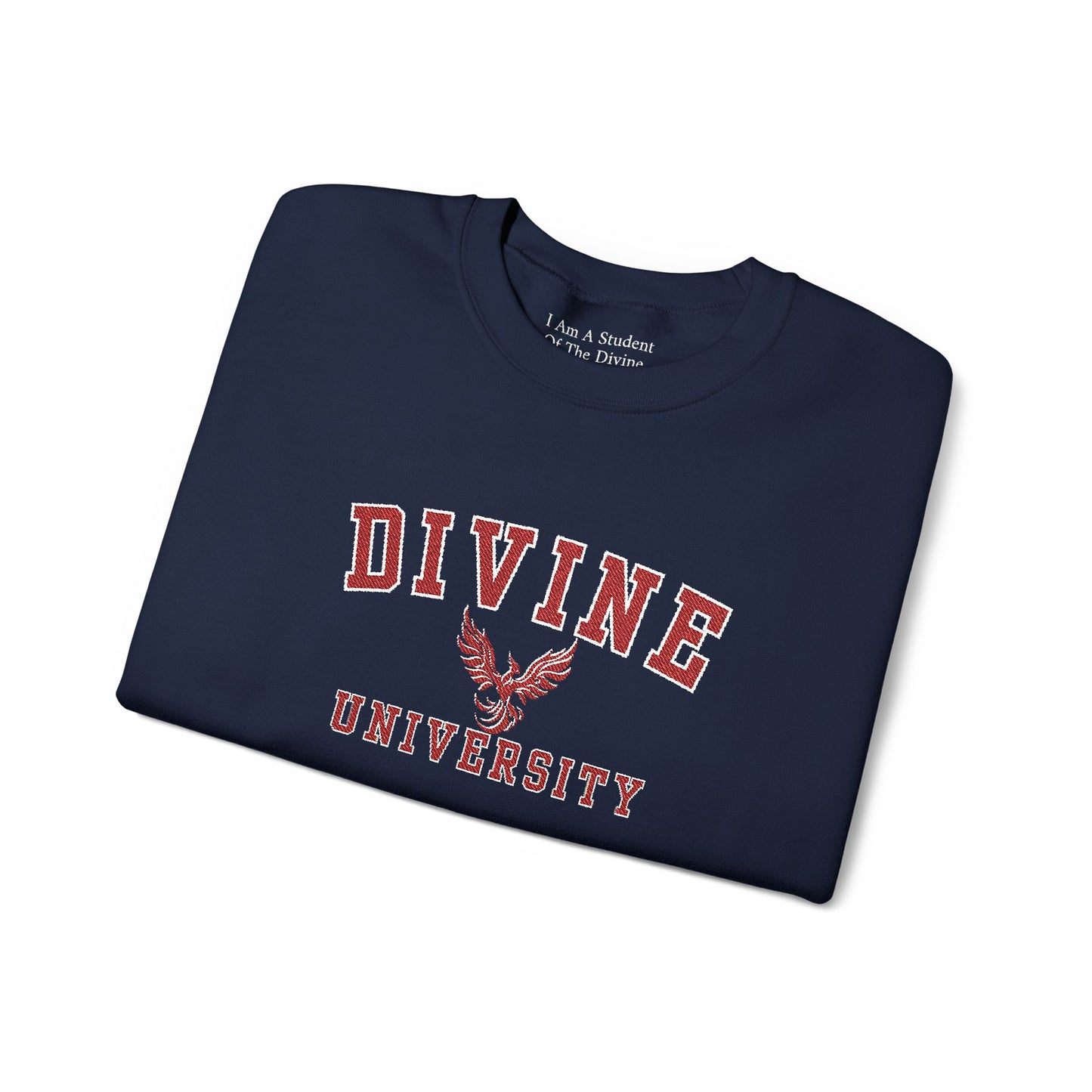 DIVINE UNIVERSITY Solid Print- Crewneck Sweatshirt