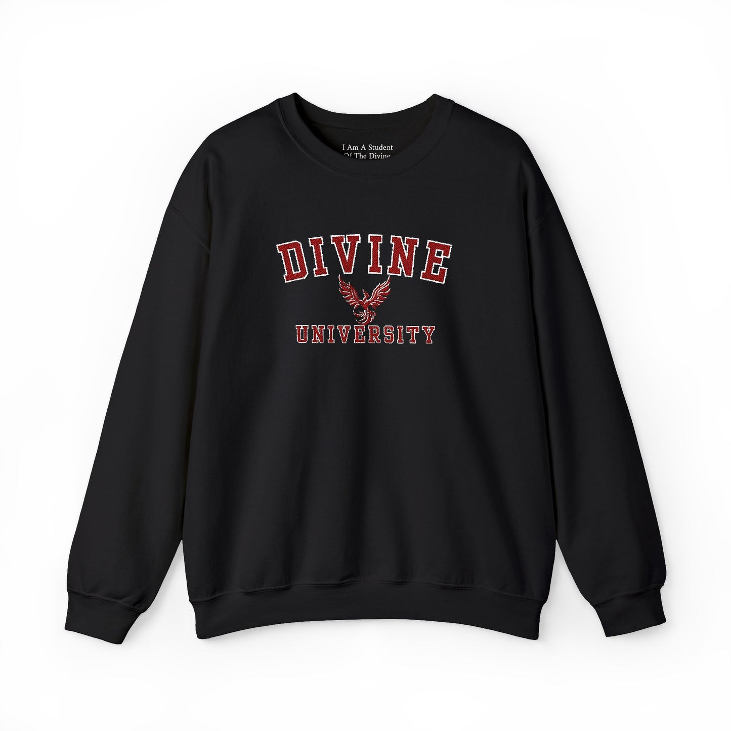DIVINE UNIVERSITY Solid Print- Crewneck Sweatshirt