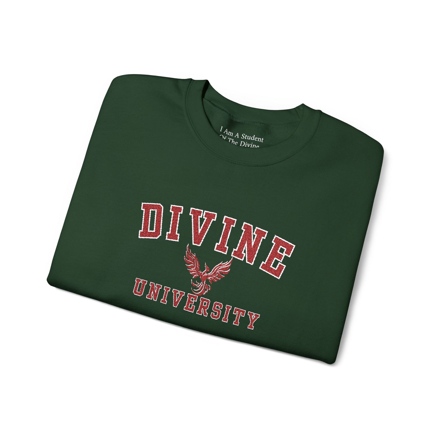 DIVINE UNIVERSITY Solid Print- Crewneck Sweatshirt