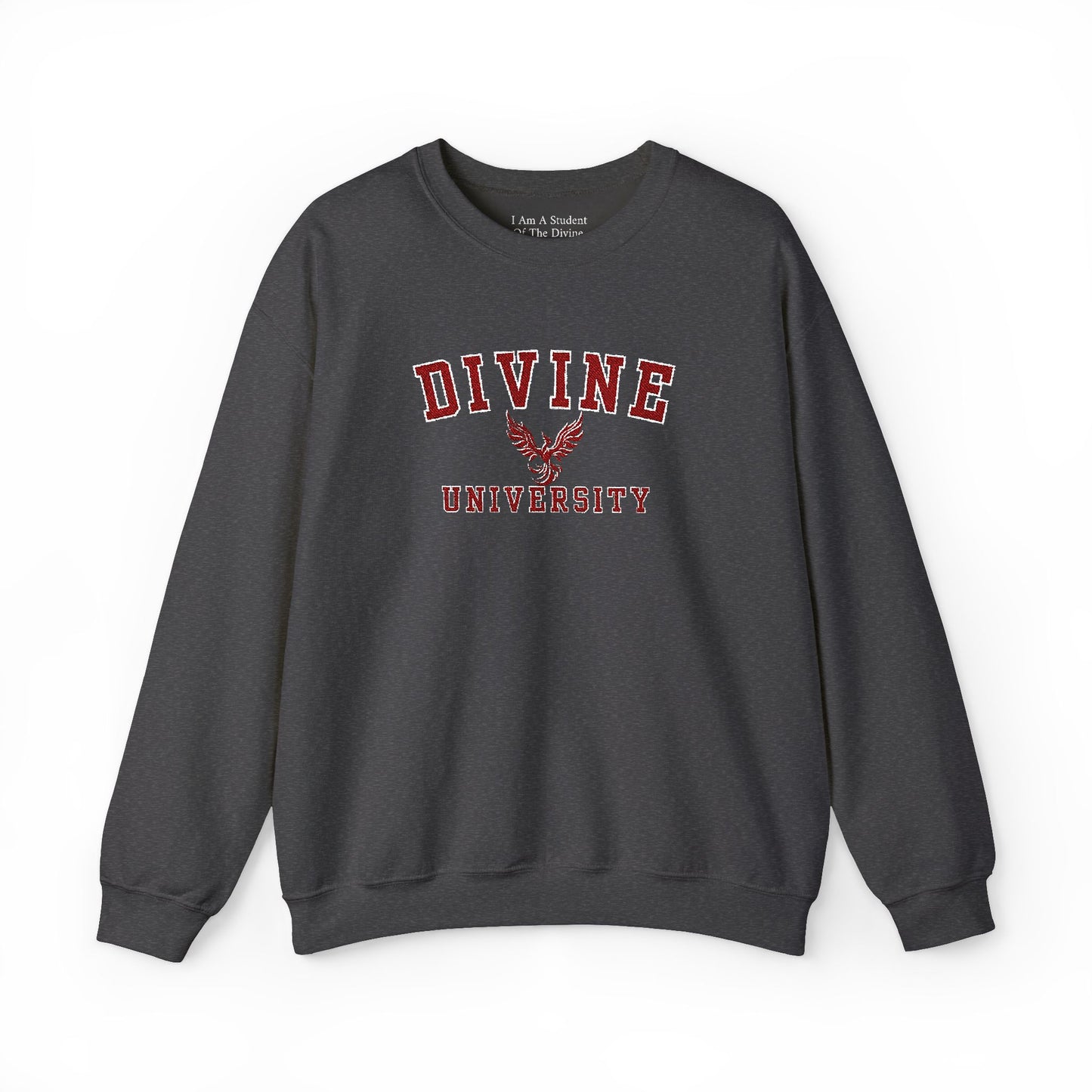 DIVINE UNIVERSITY Solid Print- Crewneck Sweatshirt