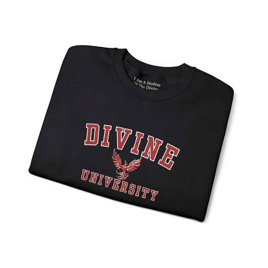 DIVINE UNIVERSITY Solid Print- Crewneck Sweatshirt