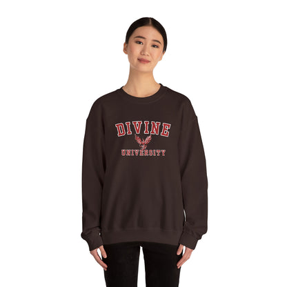 DIVINE UNIVERSITY Solid Print- Crewneck Sweatshirt