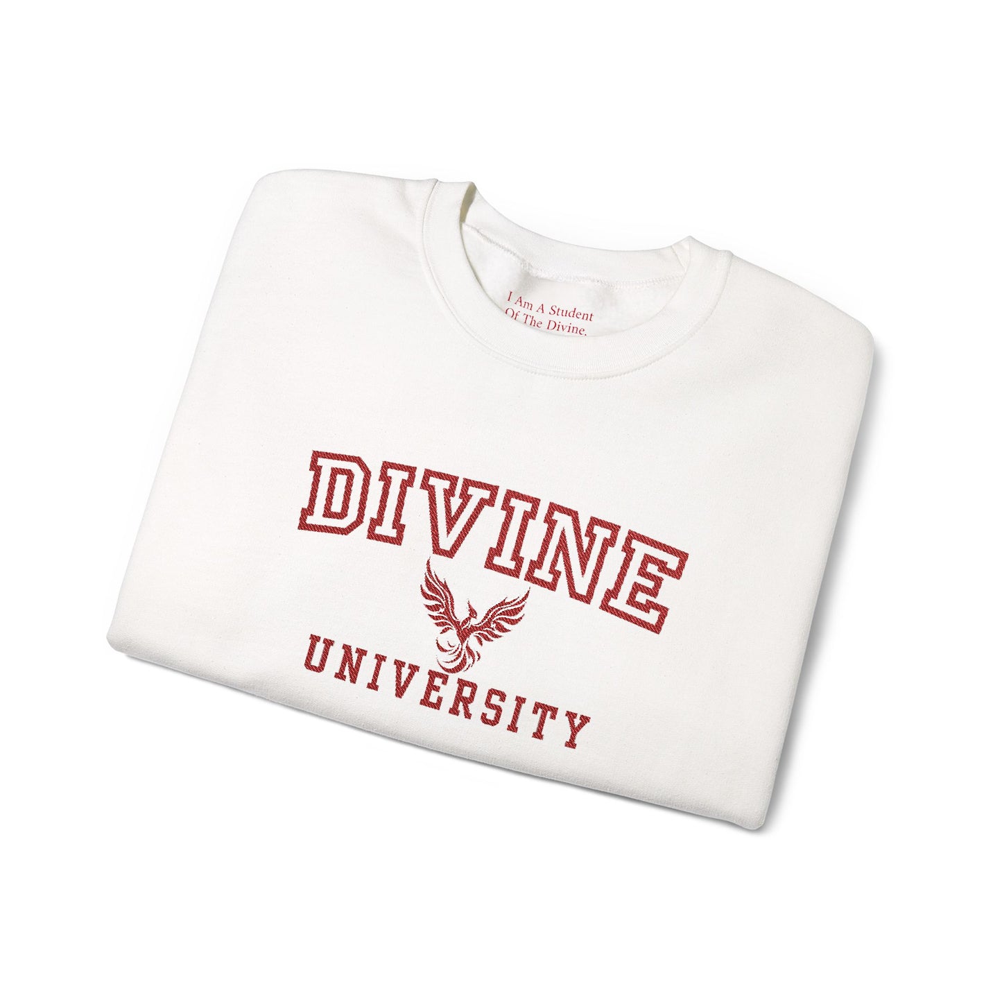 Divine University - Phoenix Rising Embroidery Crewneck Sweatshirt