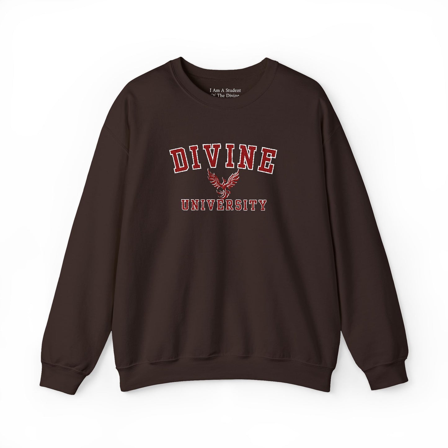 DIVINE UNIVERSITY Solid Print- Crewneck Sweatshirt