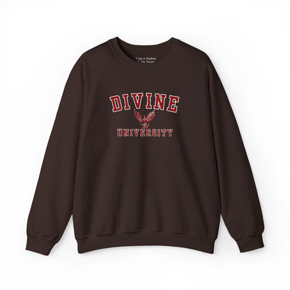 DIVINE UNIVERSITY Solid Print- Crewneck Sweatshirt