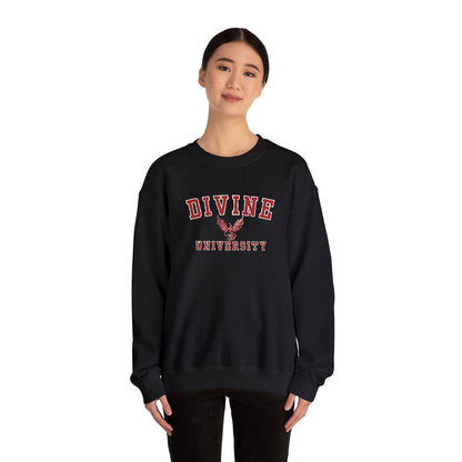 DIVINE UNIVERSITY Solid Print- Crewneck Sweatshirt