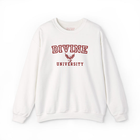 Divine University - Phoenix Rising Embroidery Crewneck Sweatshirt