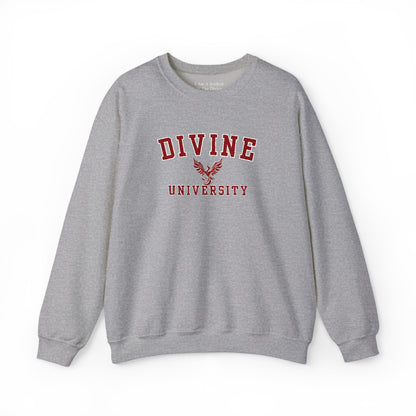 DIVINE UNIVERSITY Solid Print- Crewneck Sweatshirt