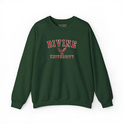 DIVINE UNIVERSITY Solid Print- Crewneck Sweatshirt