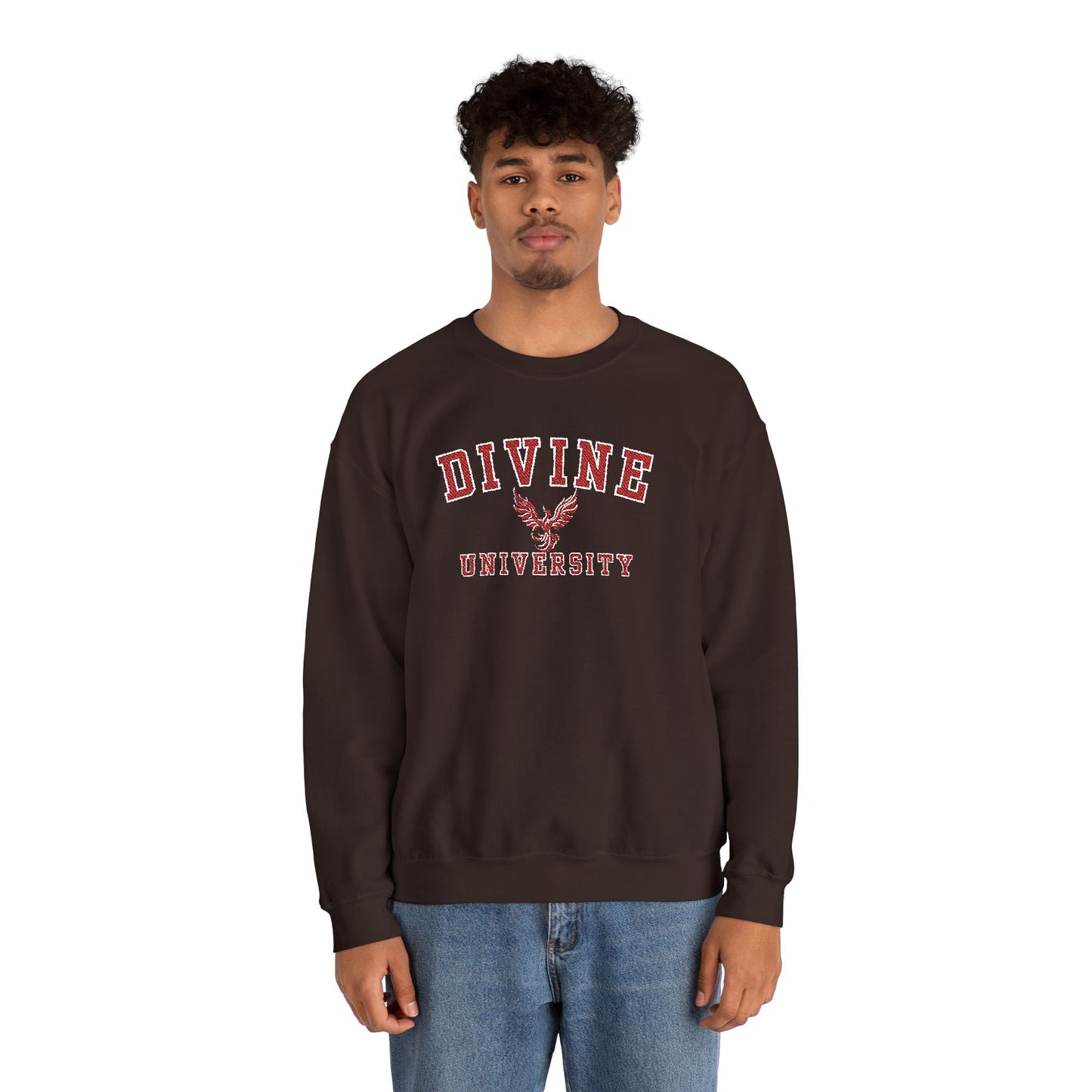 DIVINE UNIVERSITY Solid Print- Crewneck Sweatshirt