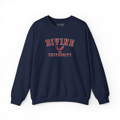 DIVINE UNIVERSITY Solid Print- Crewneck Sweatshirt