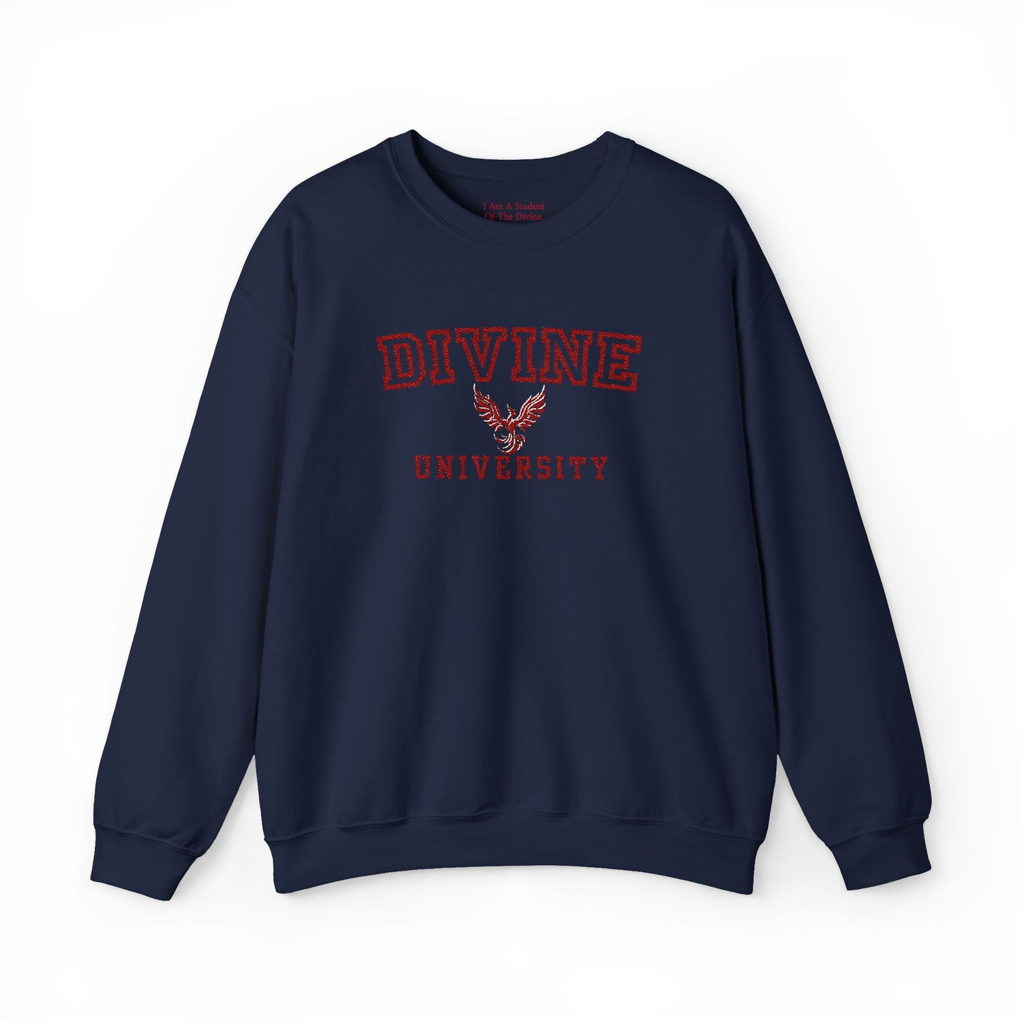 Divine University - Phoenix Rising Embroidery Crewneck Sweatshirt