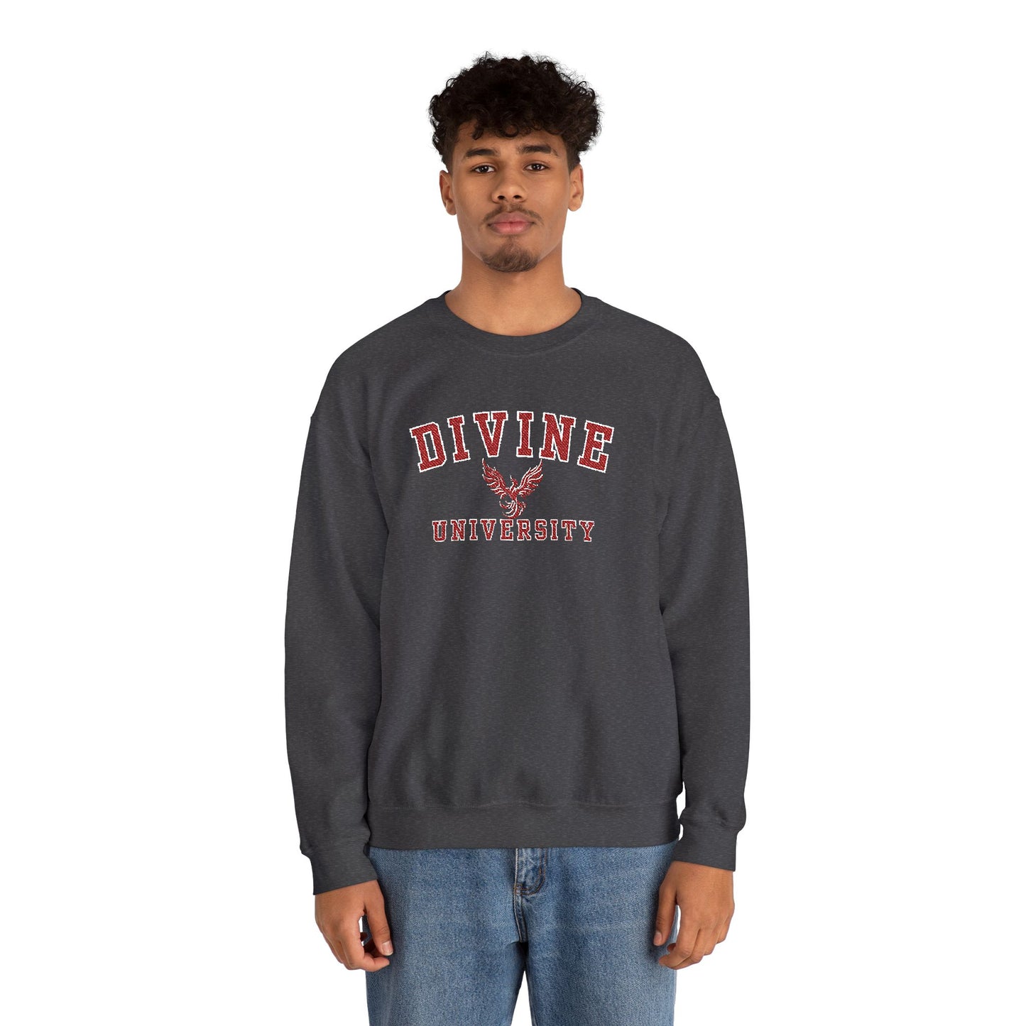 DIVINE UNIVERSITY Solid Print- Crewneck Sweatshirt