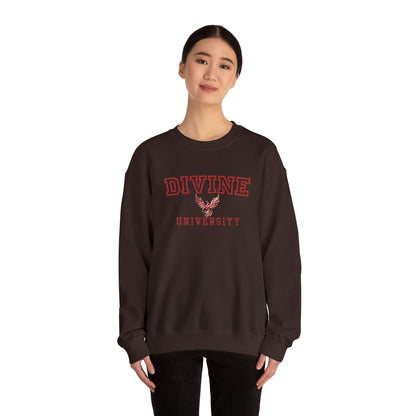 Divine University - Phoenix Rising Embroidery Crewneck Sweatshirt
