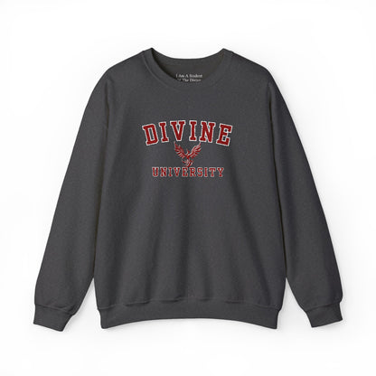 DIVINE UNIVERSITY Solid Print- Crewneck Sweatshirt
